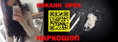 мяу мяу мука Кандалакша