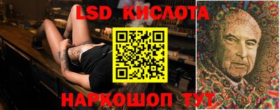 мяу мяу мука Кандалакша