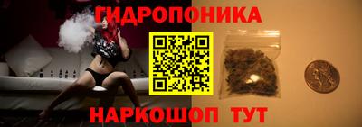 амф Канаш