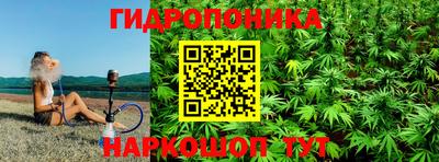 мяу мяу мука Кандалакша