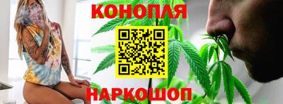 мяу мяу мука Кандалакша