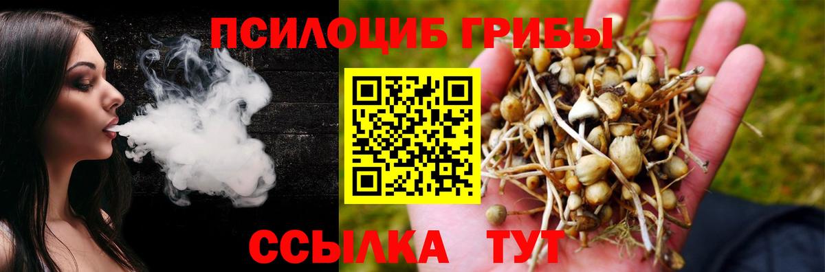 Псилоцибиновые грибы прущие грибы  Вход с VPN  Янаул 